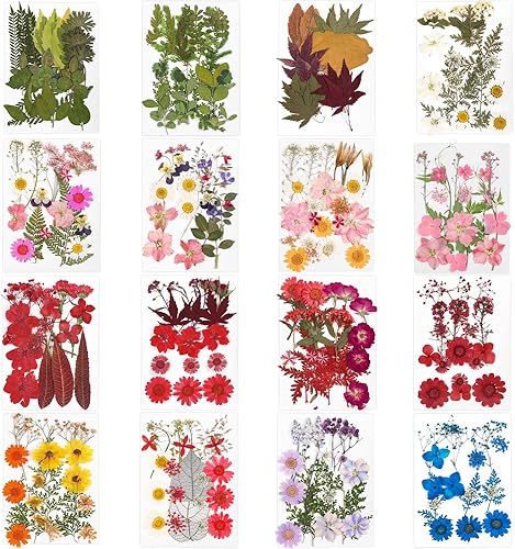 Miniatura 7 de Flores secas prensadas para resina, flores secas reales, kit de múltiples hojas de flores secas naturales para bricolaje, collar con colgante de