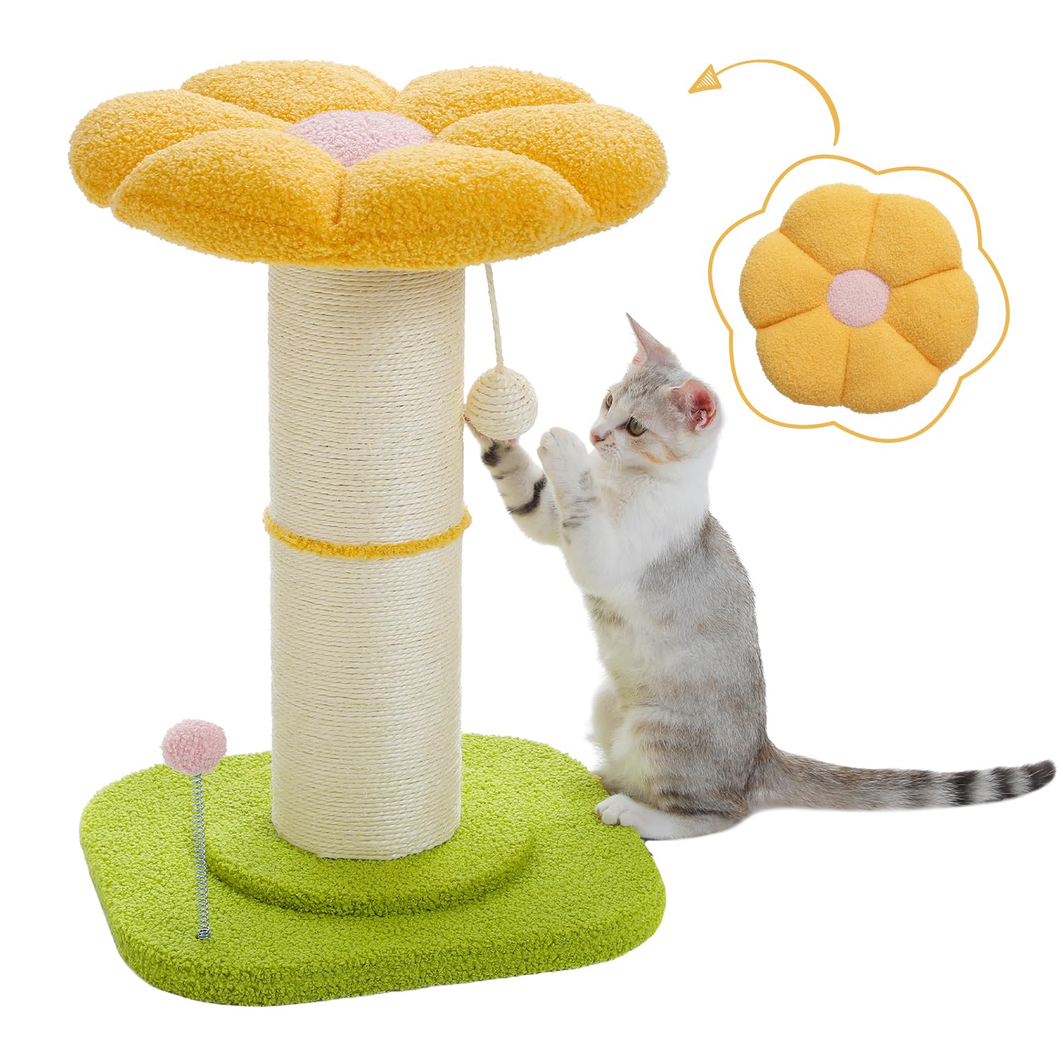 Amazon | PAWZ Road 猫 爪研ぎ キャットタワーミニ 極太 爪研ぎポール