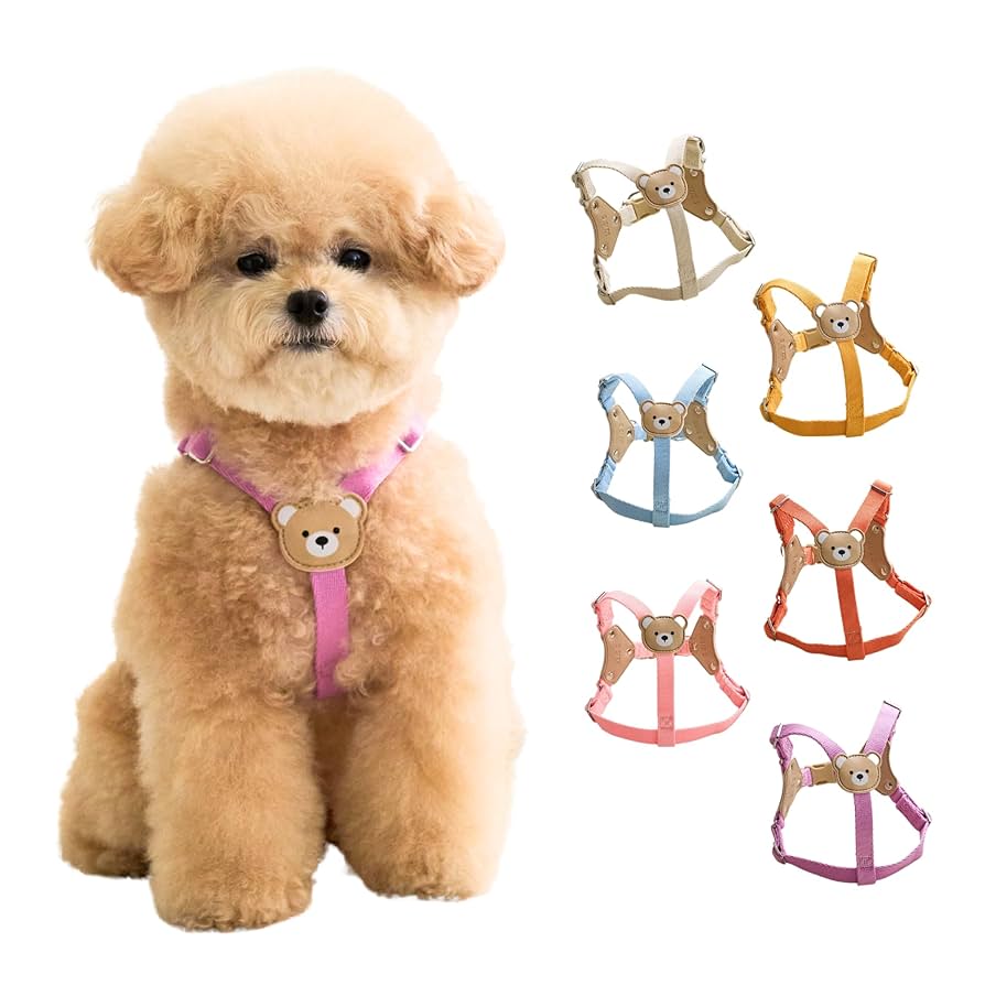 Amazon | 【BYBONG】くまさんハーネス 小型犬 (S, パープル