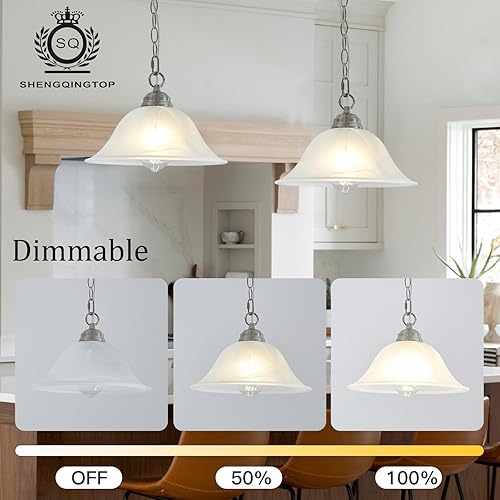 Miniatura 5 de SHENGQINGTOP Lámpara colgante enchufable con pantalla de vidrio de alabastro con interruptor de encendidoapagado, cable de 16.4 pies y cadena de