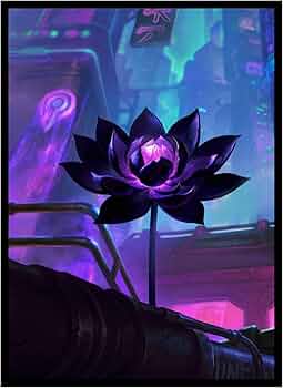 71SO2OpHKWL._AC_UF350,