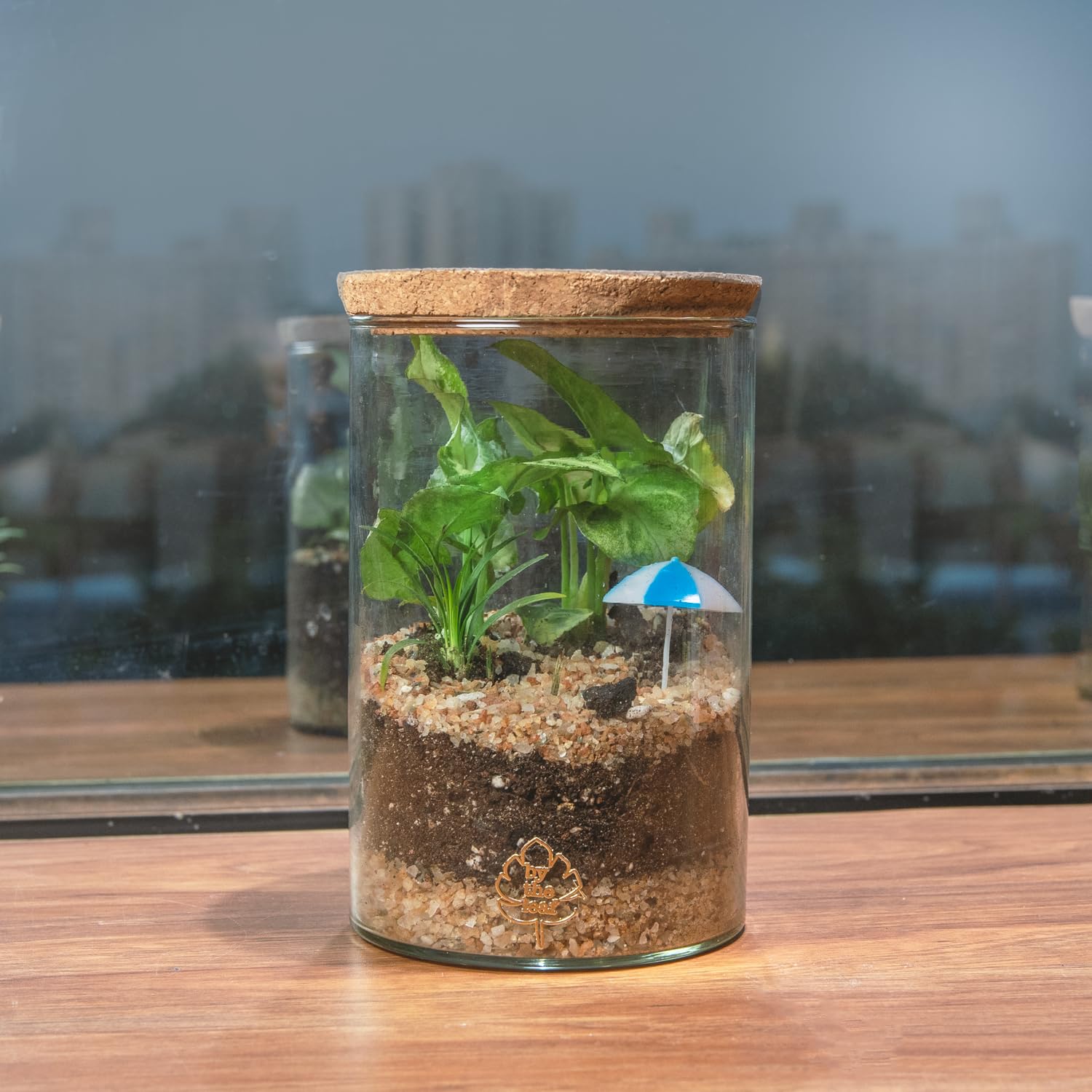 ByTheLeaf DIY Closed Terrarium Kit with live plants and miniatures for kids and adults (B0DBH34K2T) Amazon Price History, Amazon Price Tracker