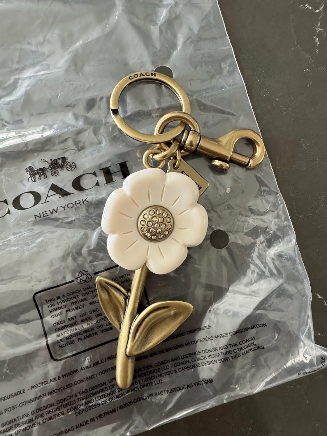 COACH womens The Summer I Turned Pretty Daisy Bag France | Ubuy