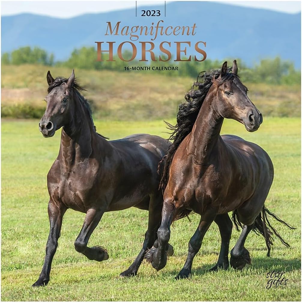 Magnificent Horses | 2023 12 x 24 Inch Monthly Square Wall Calendar | Foil Stamped Cover and Stickers | StarGifts | Animals Equestrian