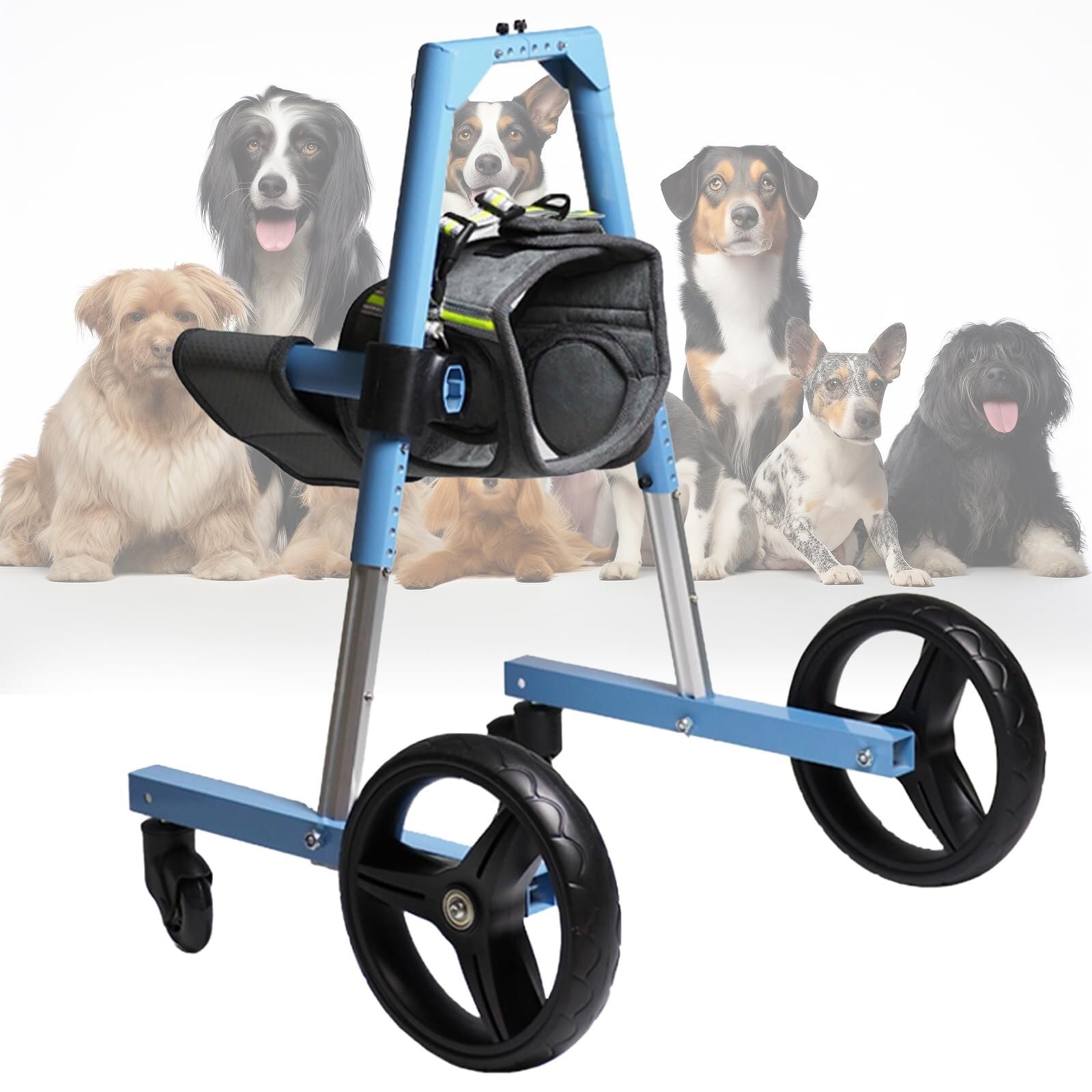 Chariot de mobilité pour chien arthrite et dysplasie hanche 4 roues