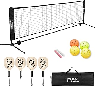 NQV Pickleball Set with Net,Pickleball Set,10FT Half Court Pickleball Net Portable Outdoor Indoor for Driveway Home, Pickleball Set with 4 Paddles and Net+4 Pickleballs+1 Storage Bag+2 Chalks