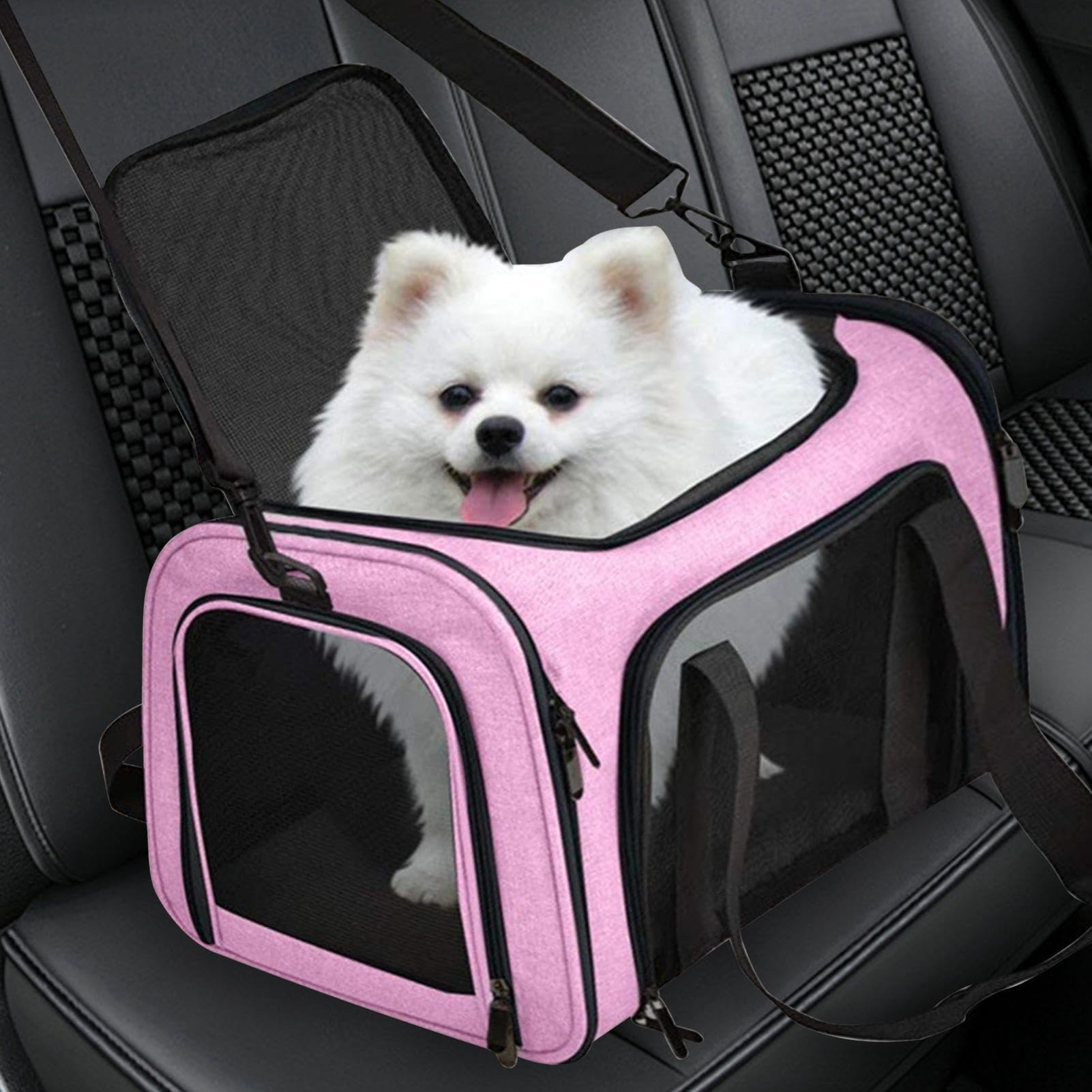 La Borsa da Trasporto di Gatti Traspirante, Comodo, Portatile e | Trasportino Multifunzionale Animali Per Cani Piccoli E Gatti, Leggero Compatto, Outdoor Campeggio Escursioni