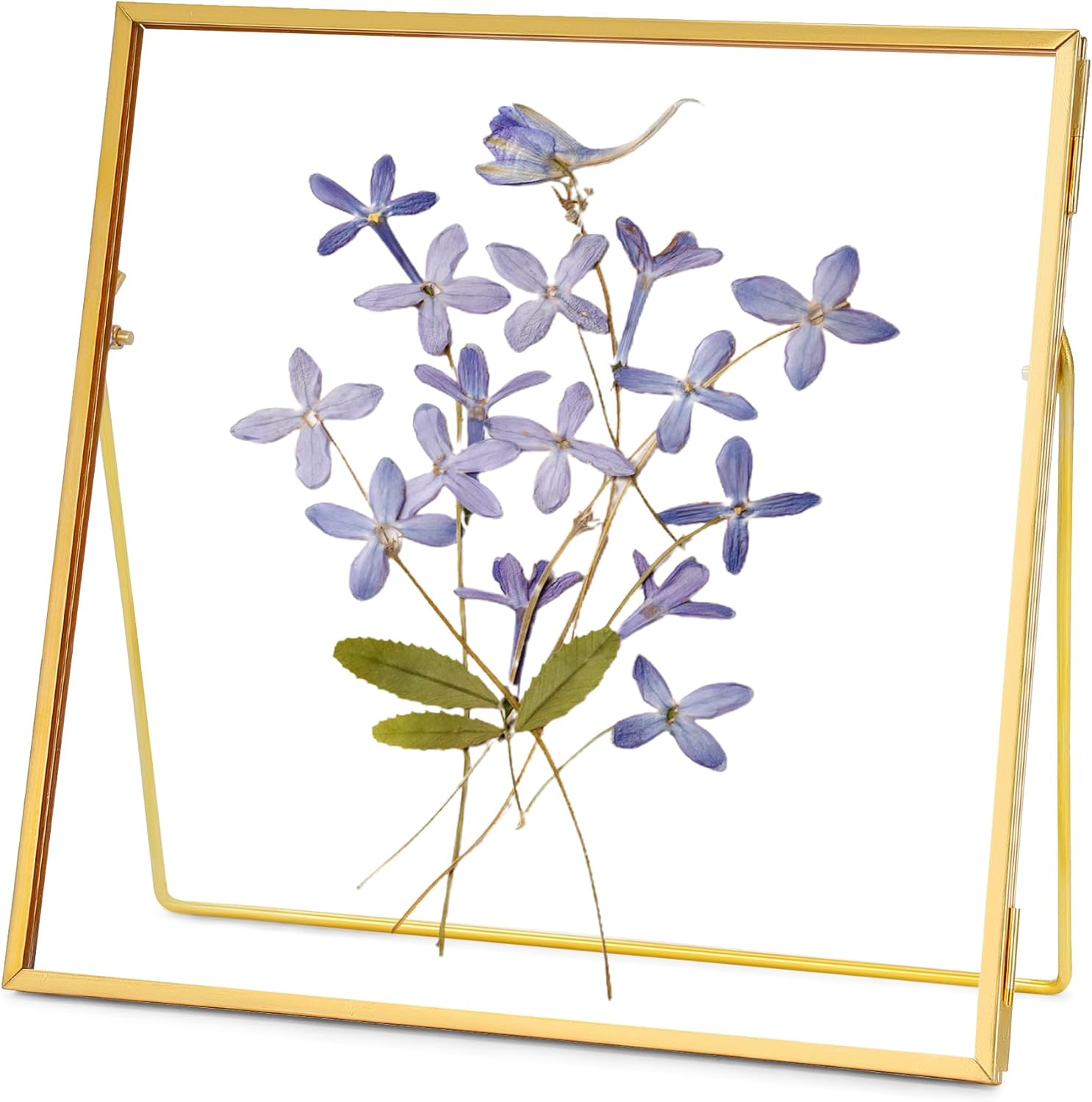REDHUGO Double Glass Frame for Pressed Flowers Handmade, Tabletop Photo Frame for Floating Picture and Flower Press, Simple, Metal Geometric, Square, Gold, 8x8 Inches