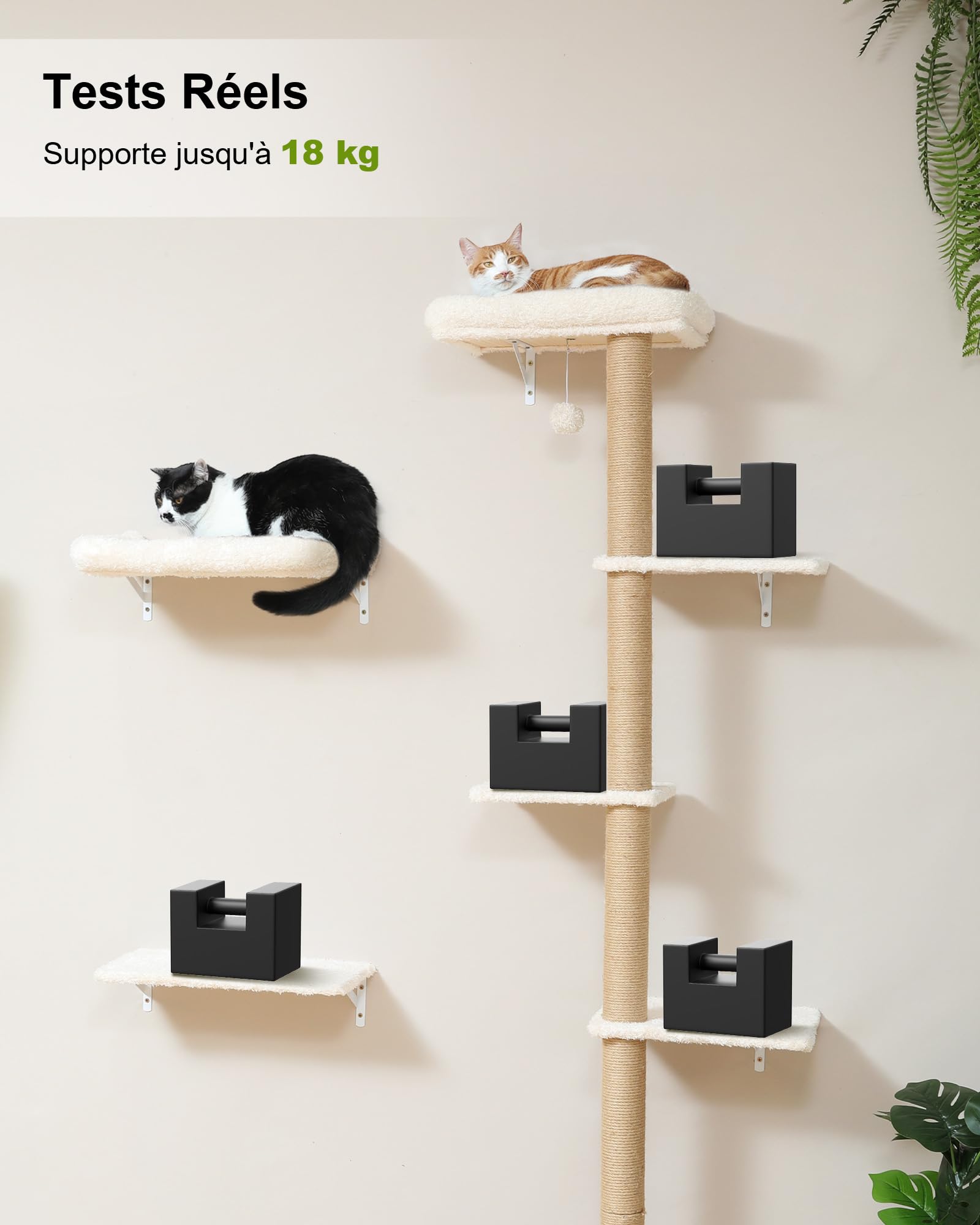 FUKUMARU Étagères Murales pour Chat,Ensemble de Meubles Stables Fixés au Mur pour Chats, Grattoir avec Perche Coussinée Douce, Mur d'escalade, Beige