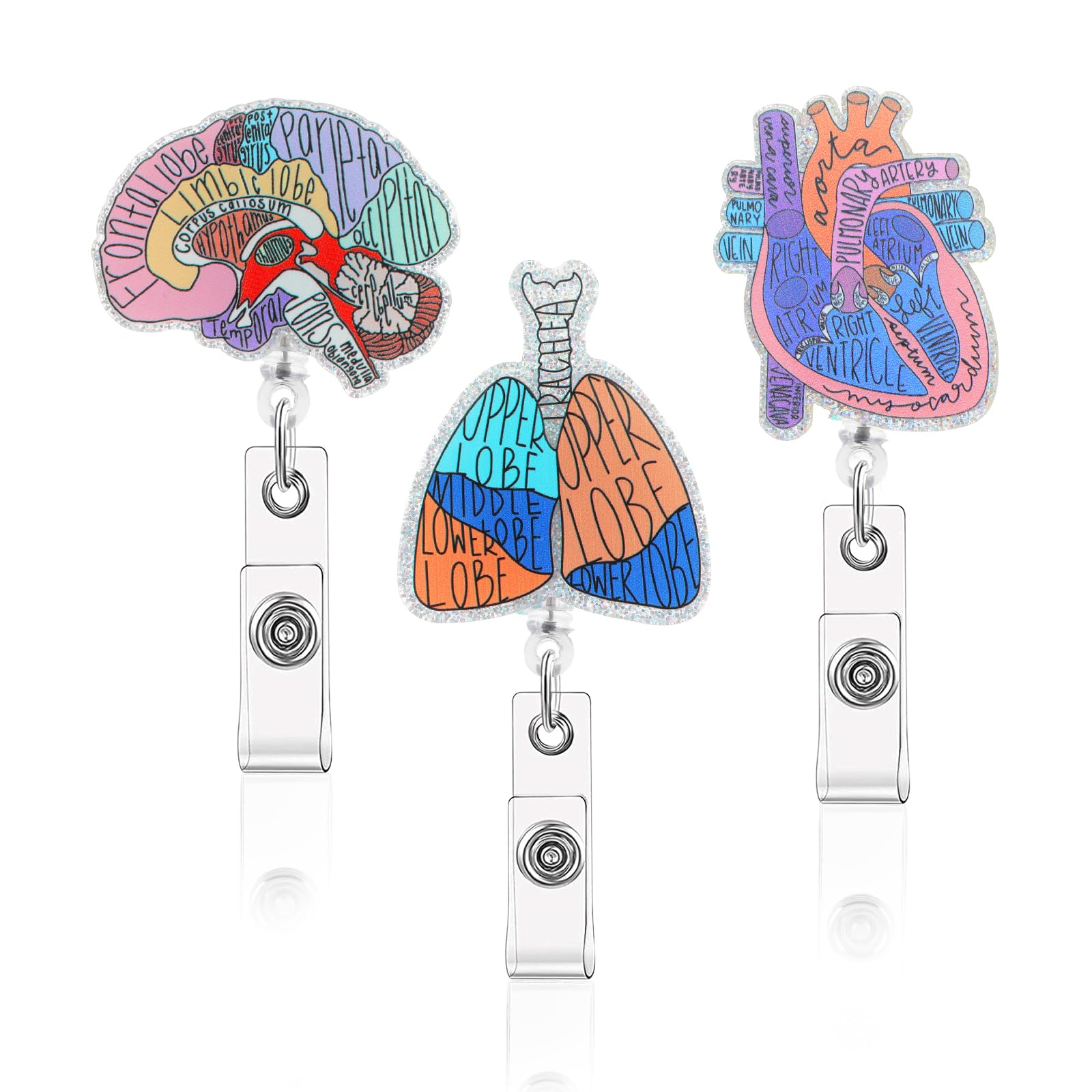 3Pcs Badge Reel Holder Retractable, Name Tag Card Alligator Clip Badge for Nurses Nursing Anatomy Surgery Student Doctor CNA RN MA ICU LPN Medical Hospital Accessories