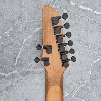 8-String Electric Guitar, Extended Range Guitar
