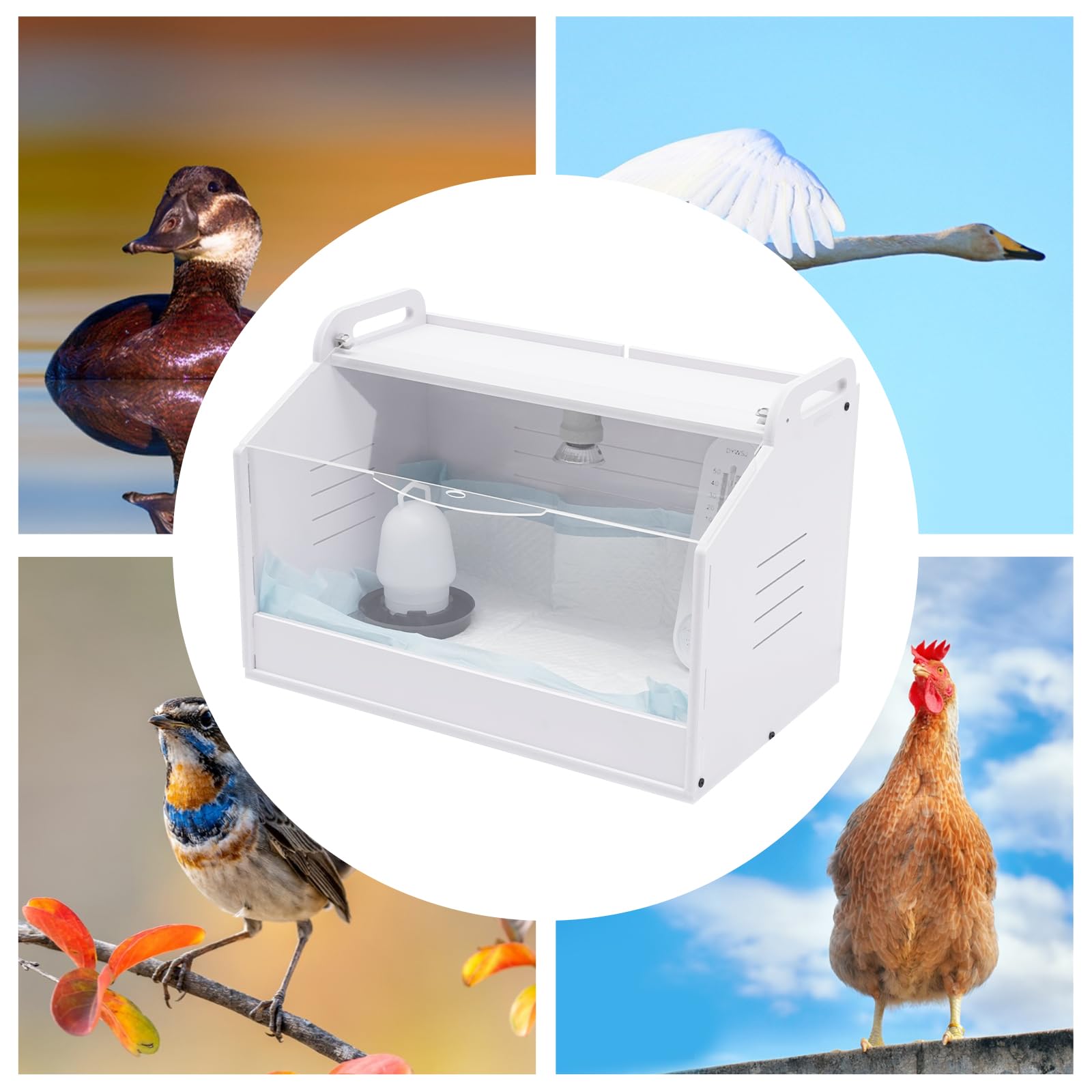 Incubadora de huevos automática de 25 W con lámpara de calor – Criador de aves de corral y reptiles para huevos de gallina, incubadora de pollitos, control inteligente de temperatura para pájaros