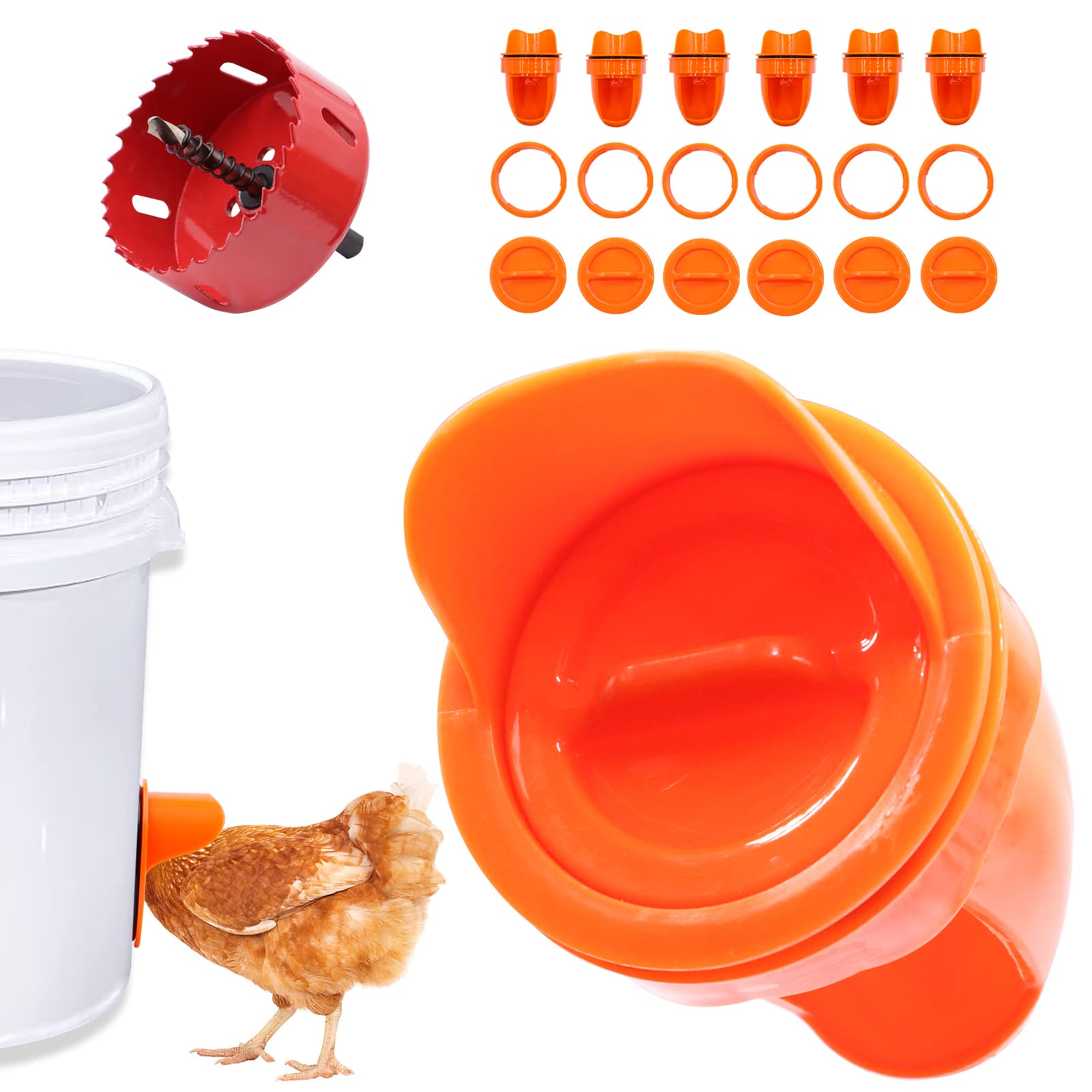 Buy Chicken Feeder, 6 Ports Automatic Chicken Feeder, Chicken Feeders