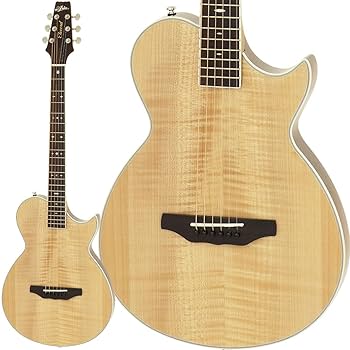 ARIA エレアコ　アコースティックギター Amazon | ARIA APE-100 N ナチュラル 【エレキギターのように