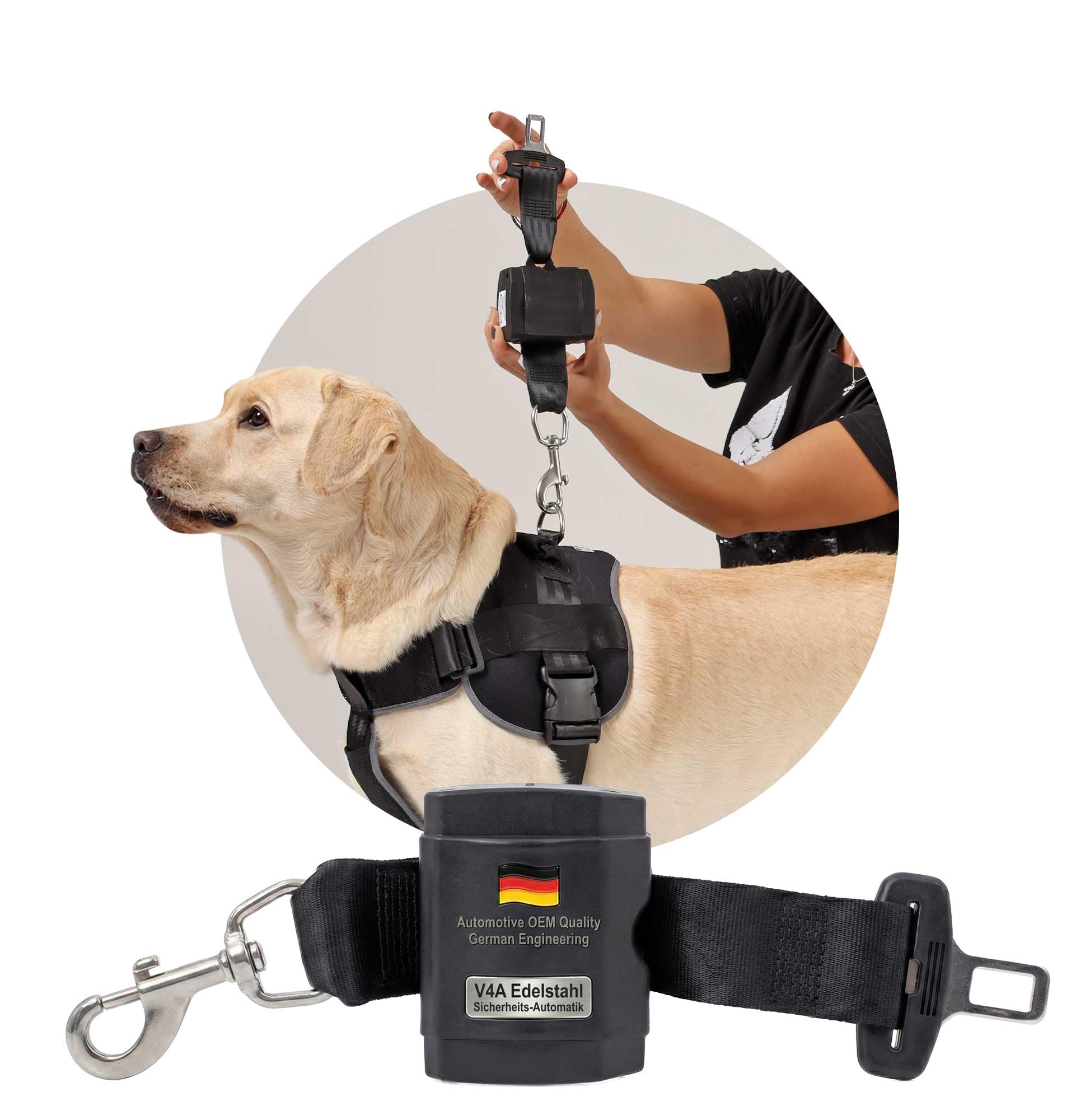 Automatik Sicherheitsgurt für Hunde im Auto - ausziehbar - aus Deutscher Produktion/Anschnallgurt Hund Auto für mittlere und große Hunde/Hundegurt mit drehbarem Edelstahl Karabiner