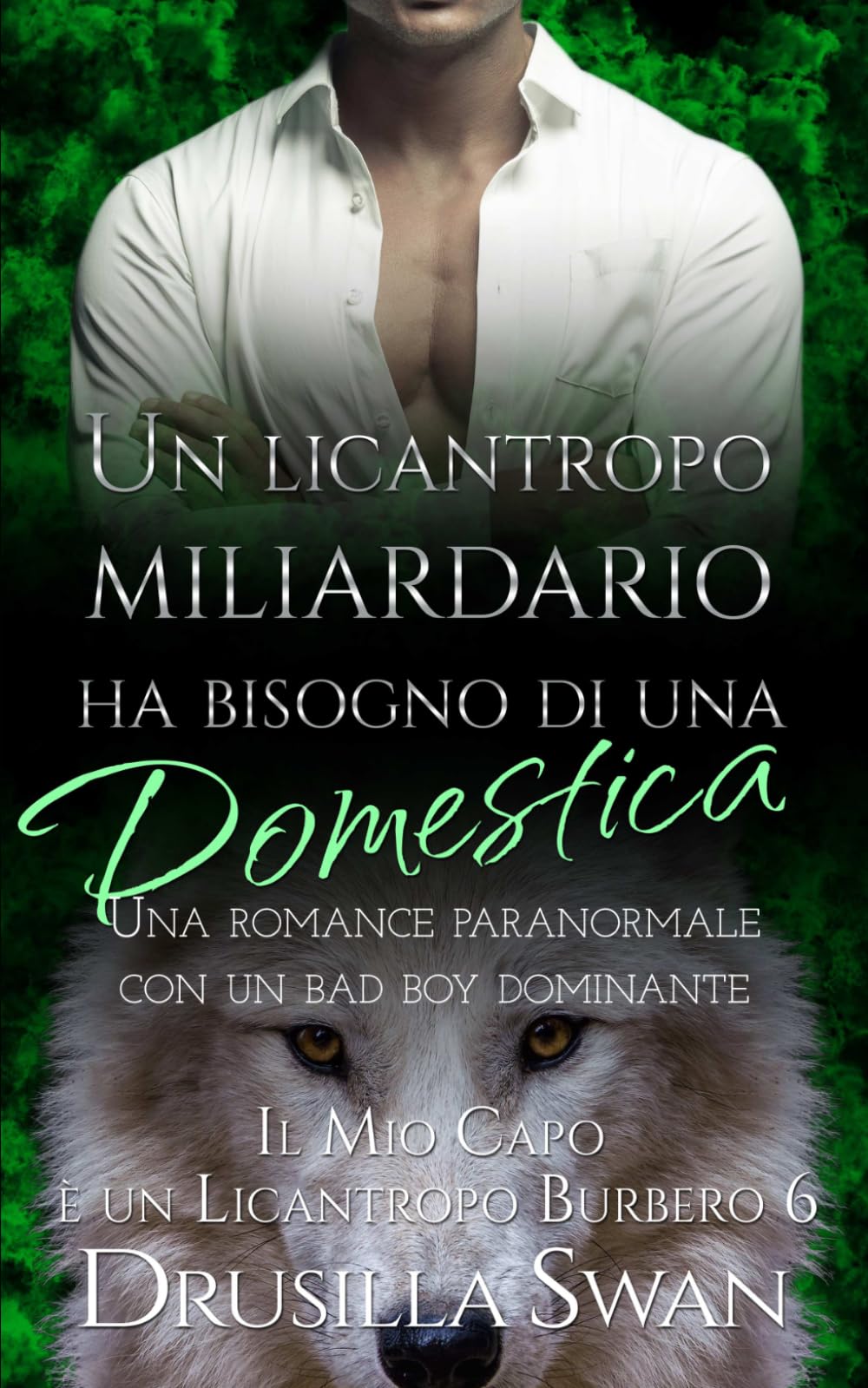 Un licantropo miliardario ha bisogno di una domestica: Una romance paranormale con un bad boy dominante (Il Mio Capo è un Licantropo Burbero)