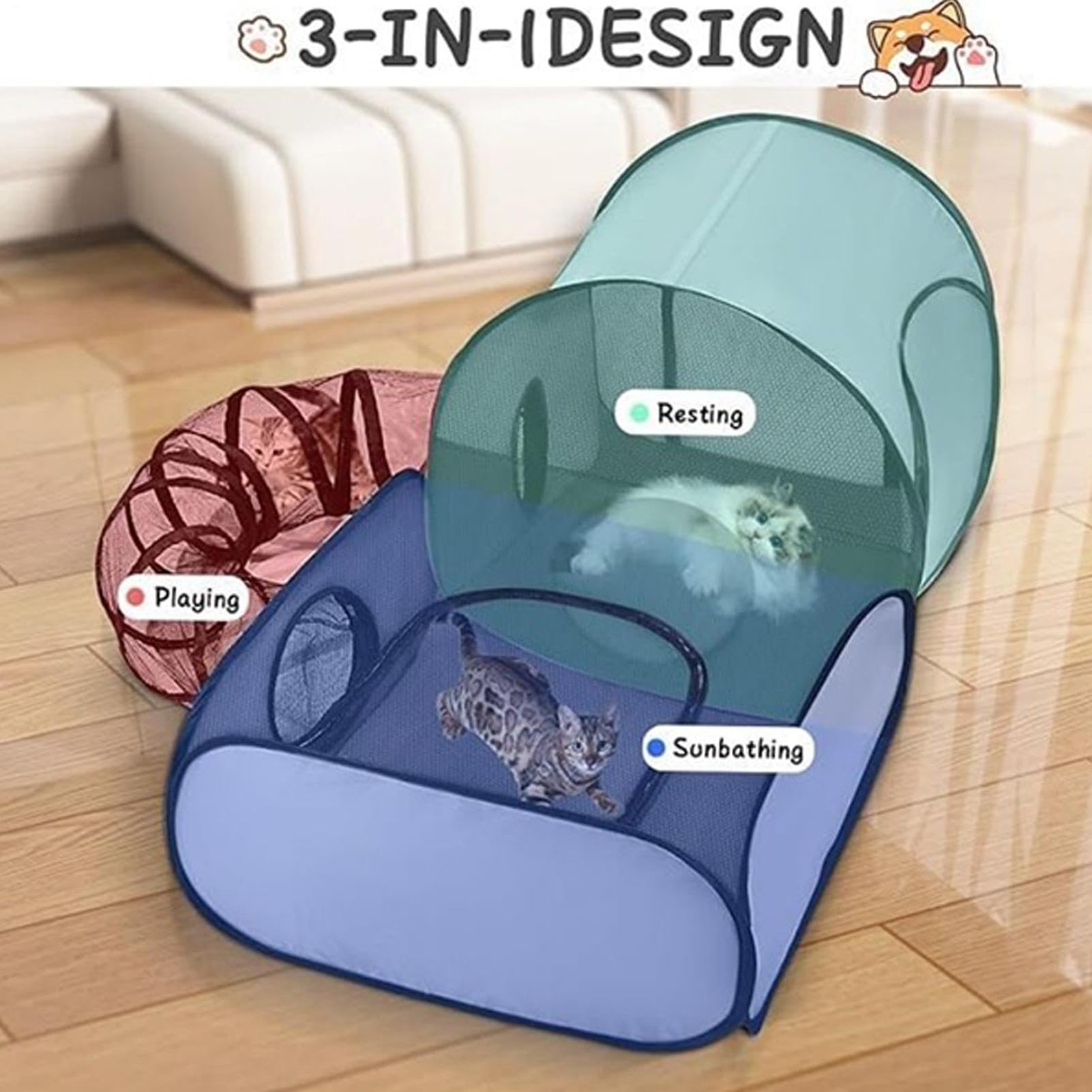 View 6