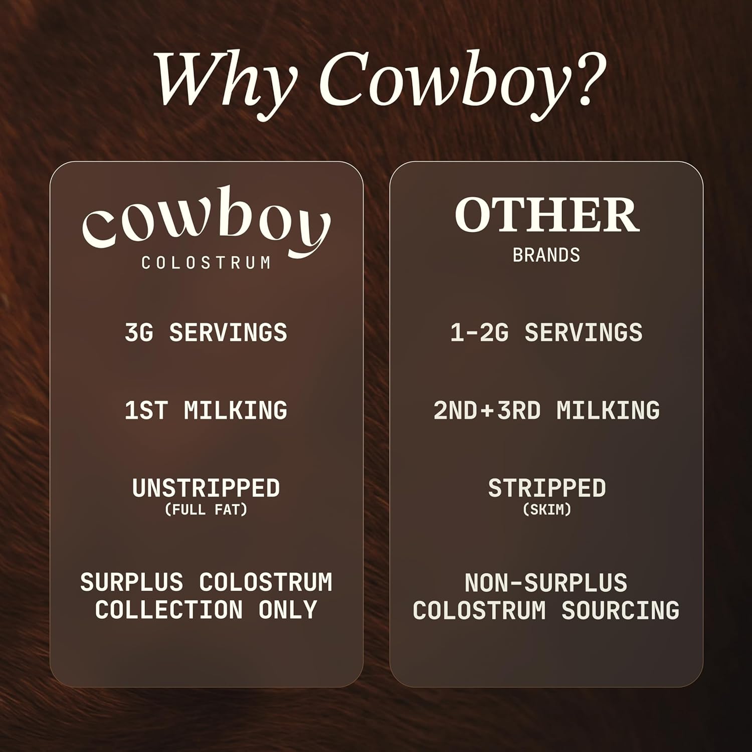 COWBOY - The Exclusive 1st Milking, Whole, Grass Fed Colostrum Supplement for Full Body Health - Bovine Colostrum Powder Packed w/Bioactive Nutrients (10 Travel Packs - Strawberry)