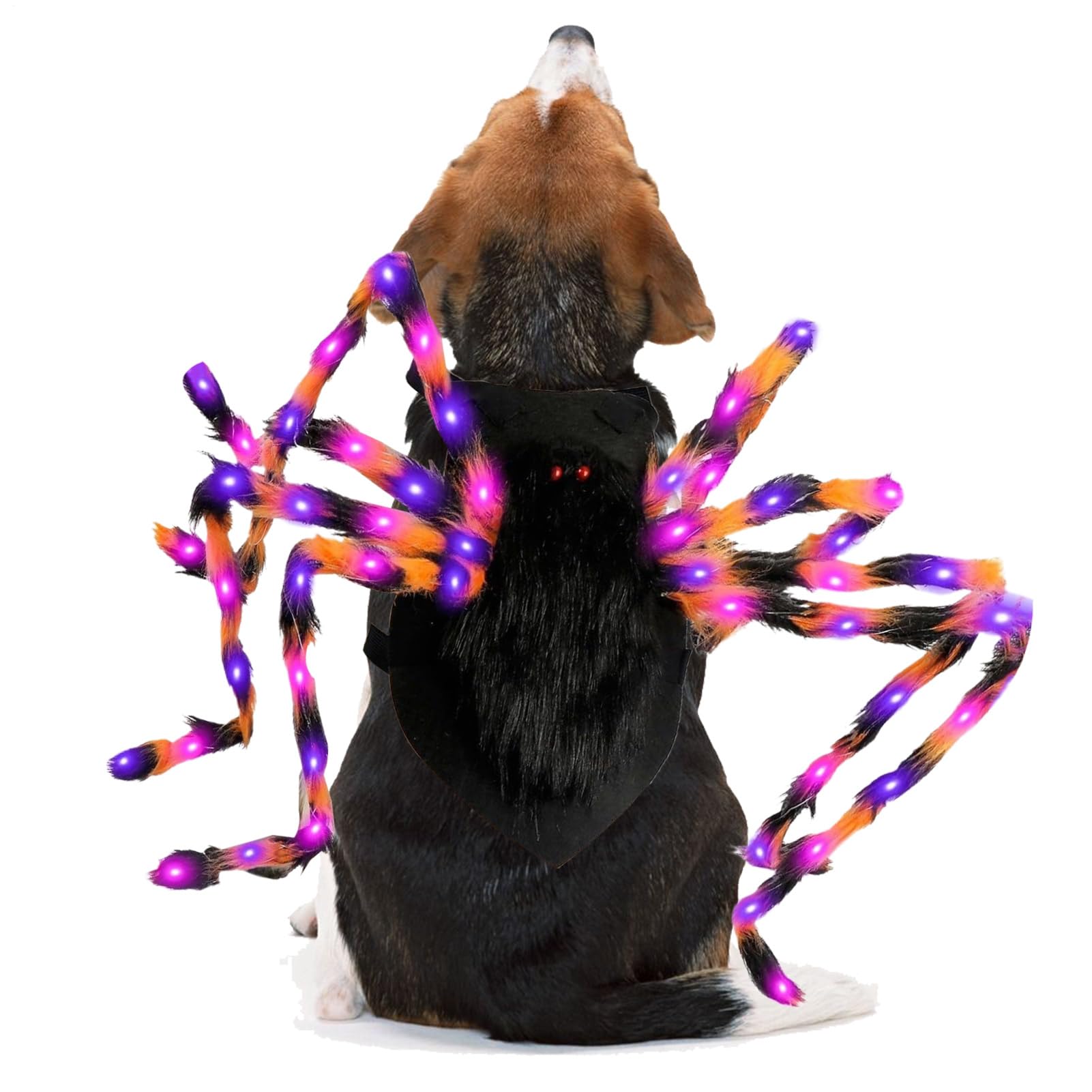 Costume d'Araignée pour Halloween : Fini les Déguisements Invisibles la Nuit