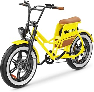 Electric Bike 1000W – Moped Style Full Suspension Dirt Ebike, 20" Fat Tires, 30-80KM/H Speed, 40-60KM Range, 17AH 48V, All-Terrain Electric Motorcycle for Mountains, Snow, Sand & Road Ridin