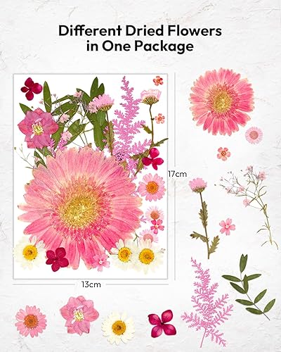Vista 34 de Resiners - Flores secas, 100 piezas de flores prensadas para manualidades, color amarillo, flores secas naturales, kit de hojas secas