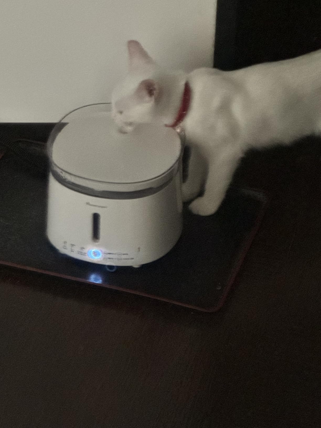 お客様イメージ