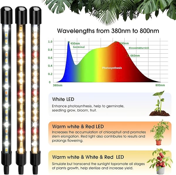 The Wolezek 4-head LED grow light, showcasing its flexible goosenecks and clip base for versatile plant illumination.