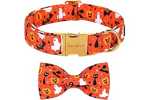 Unique Style Paws Halloween Dog Collar with Bow Tie - The Perfect...