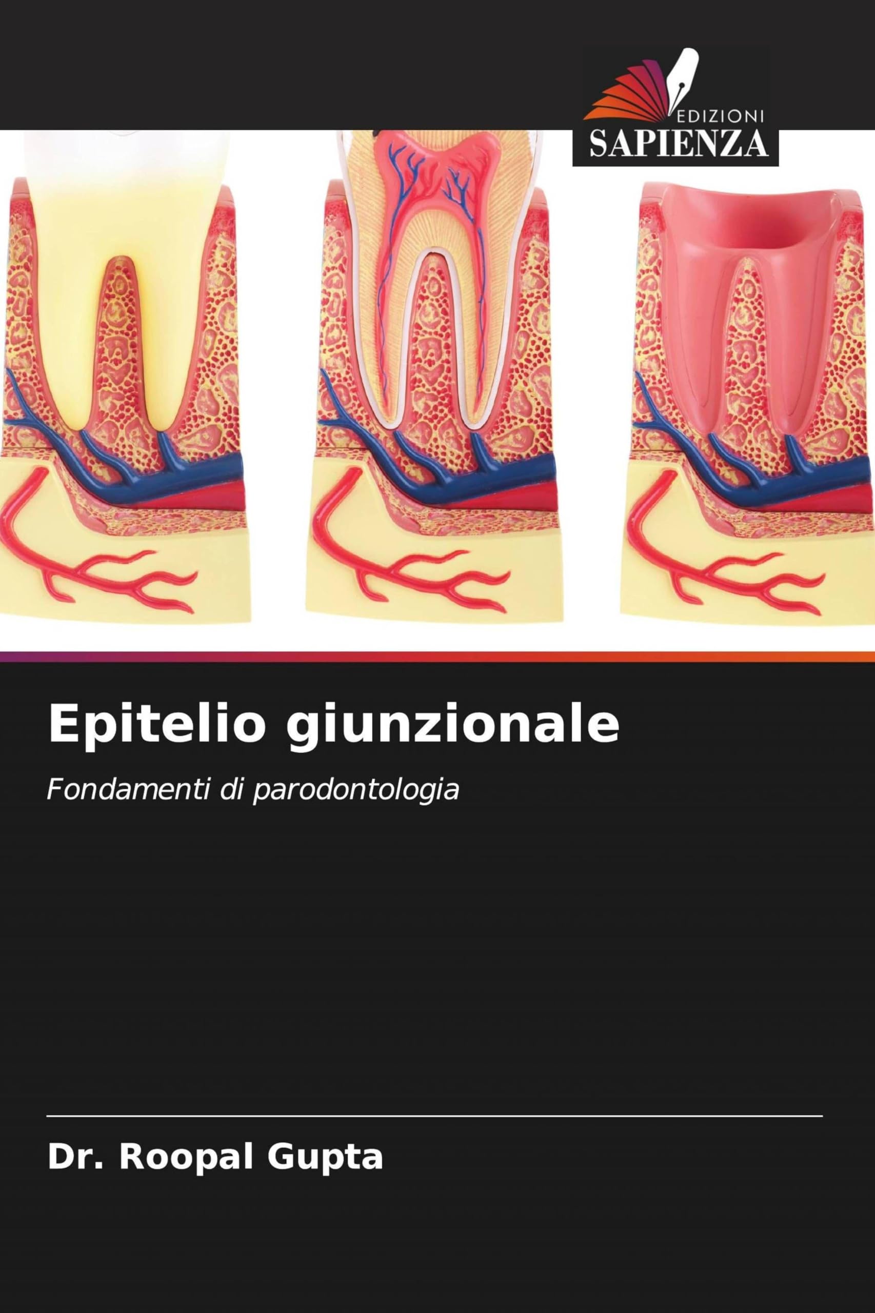 Epitelio giunzionale: Fondamenti di parodontologia