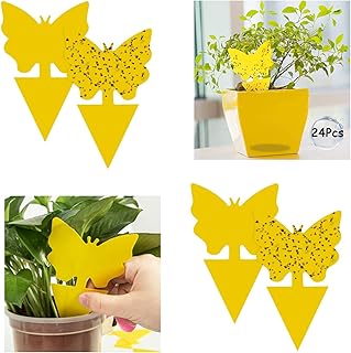 GeekerChip Fruit Fly Traps(24 PCS) Fly Traps,Plant Fly Traps,Yellow Sticky Fly Traps,Fly Paper Sticky Catcher,Sticky Gnat Trap,Non-Toxic and Eco-Friendly Suit For Multiple Insect
