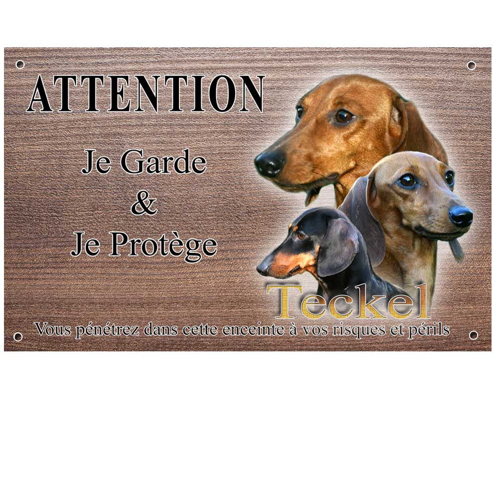 Adoption de Monna: Petit chien teckel poil court, région Grand Est
