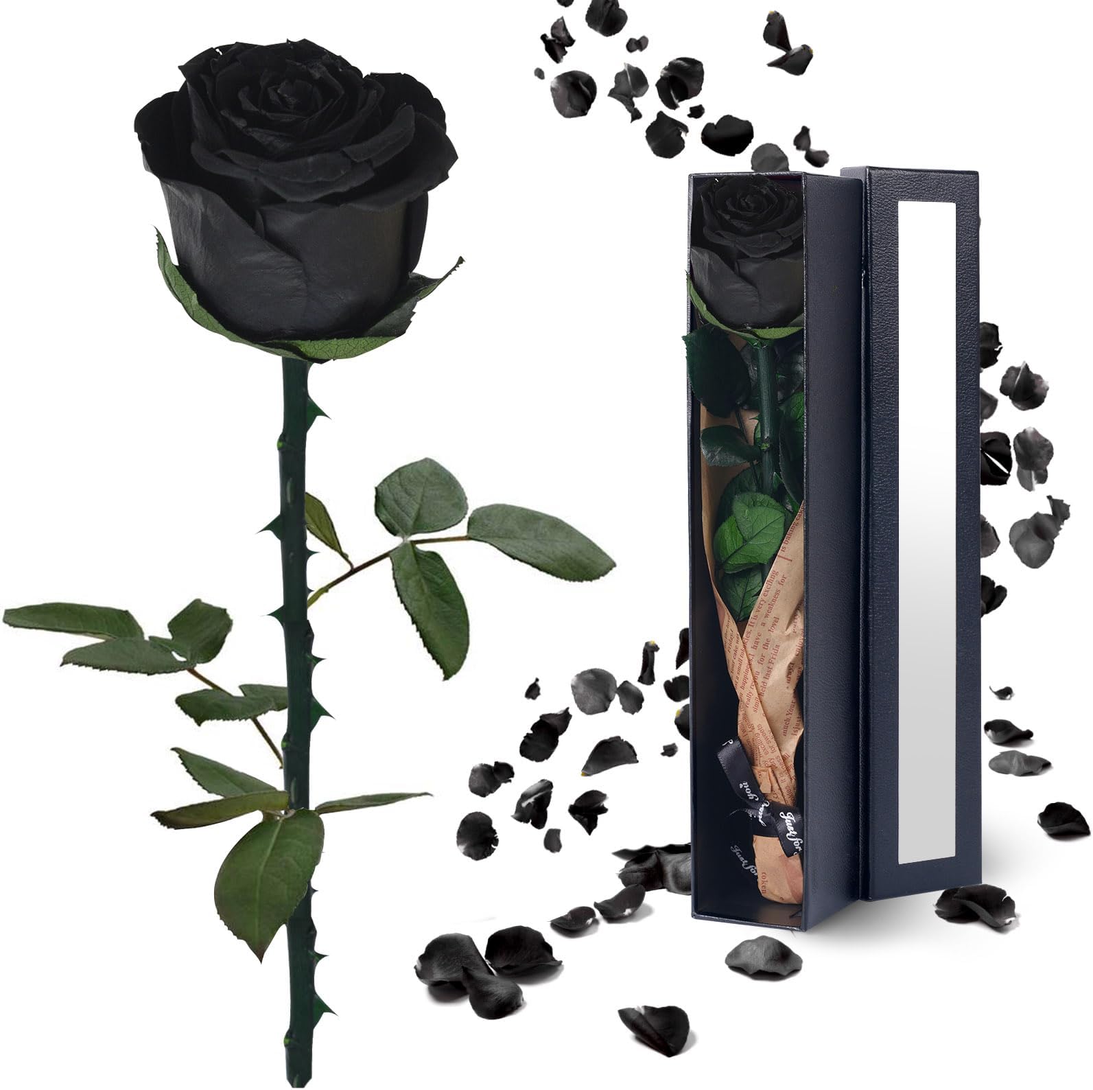 YAMPP Preserved Flower Gifts for Women Mother's Day Birthday Christmas Anniversary Wedding Gift Mom Girlfriend Wife Grandma Forever Rose for Her, 1 rose - black