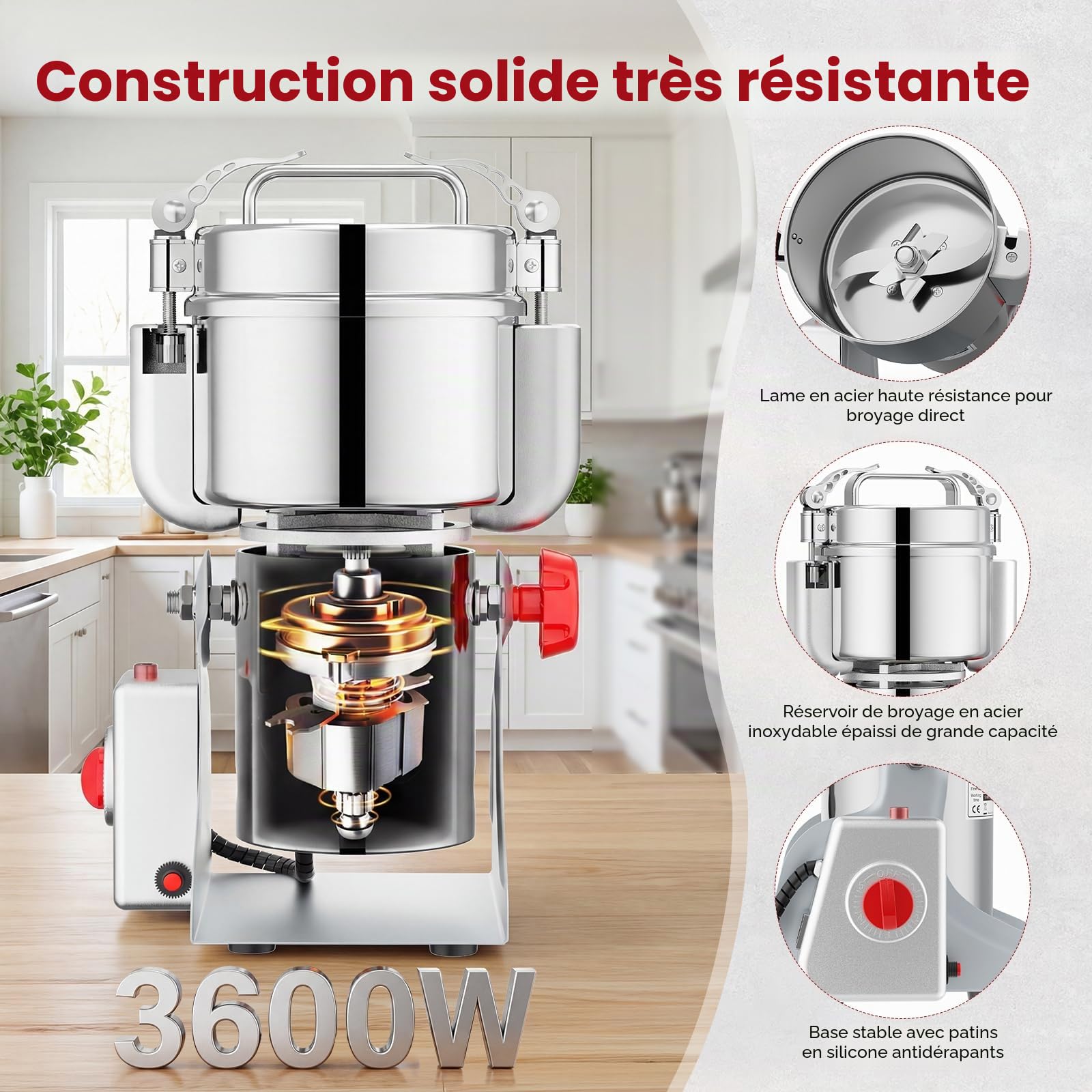 Moulin à céréales portable 220 V, secouer pour moudre, ponceuse à grande vitesse, pour herbes, épices, noix, céréales avec protection contre les surcharges (1000 g)