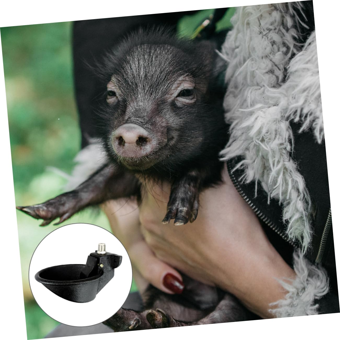 Hemobllo Bebedero Automático Para Animales De Granja Comedero De Hierro Fundido Para Cerdos Diseño Único y Práctico Para Uso Casa y Granja