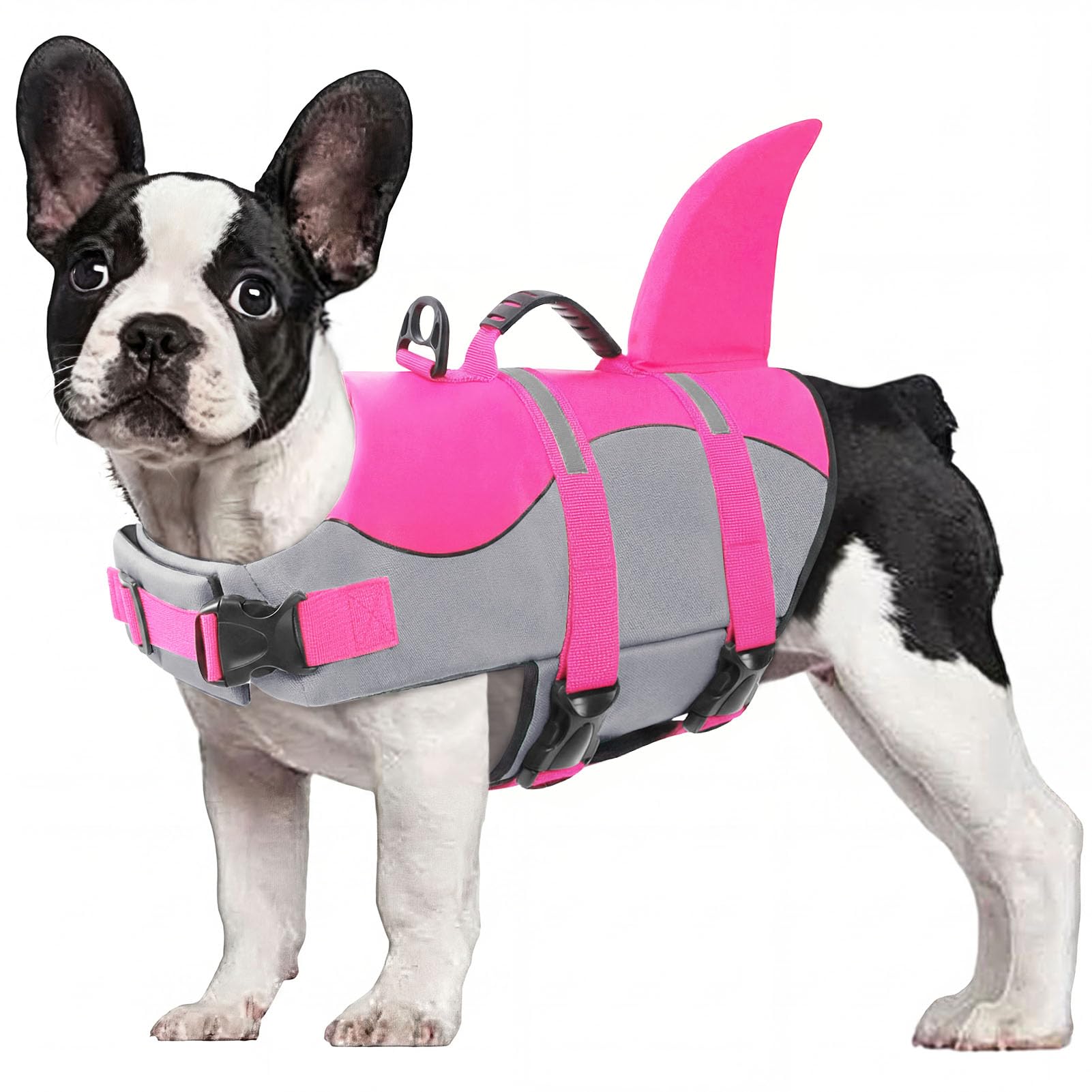 CITÉTOILE Schwimmweste Hunde Hai, Leicht und Sicher für Wassersport, hundeschwimmweste mit Griff und Reflektierend für Kleine Mittlere und Große Hunde, Rosa, L