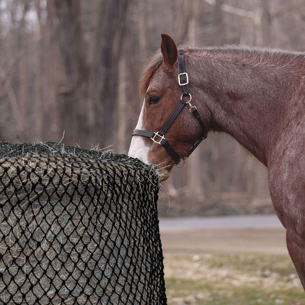 Dura-Tech Large Round Bale Hay Net for Horses | Extends Hay Bale Lifespan | Fits Large 6'x6' Bales | 2" x 2" Slow Feed Holes | Durable Polyester Net | Drawstring Top