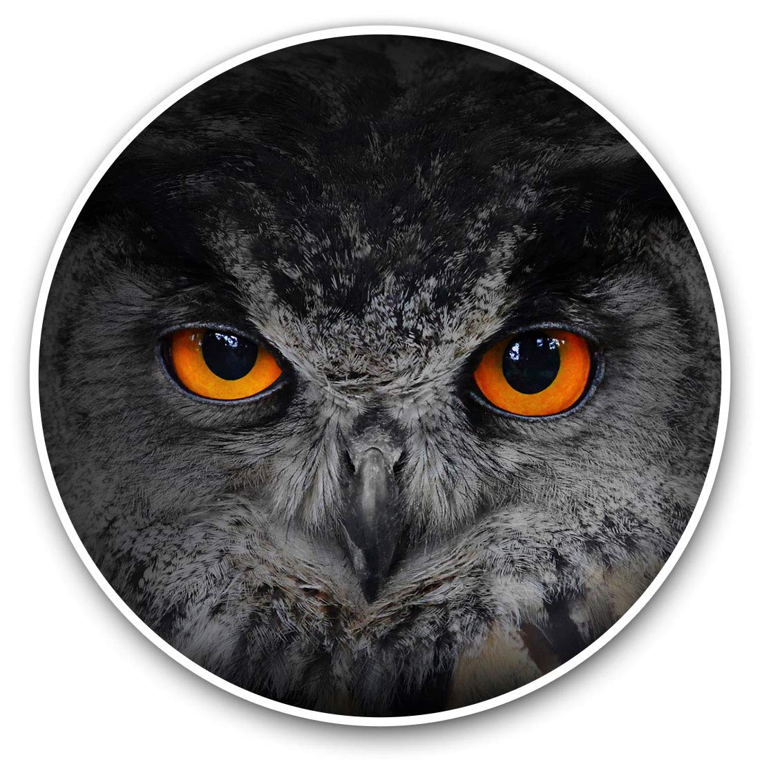 Destination Vinyl Ltd Owl Eyes Bird Owls 8252 Vinyl Stickers (Set Of 2) 15Cm - Beautiful Owl Eyes Bird Owls Laptop Tablet Luggage Scrapbook #8252