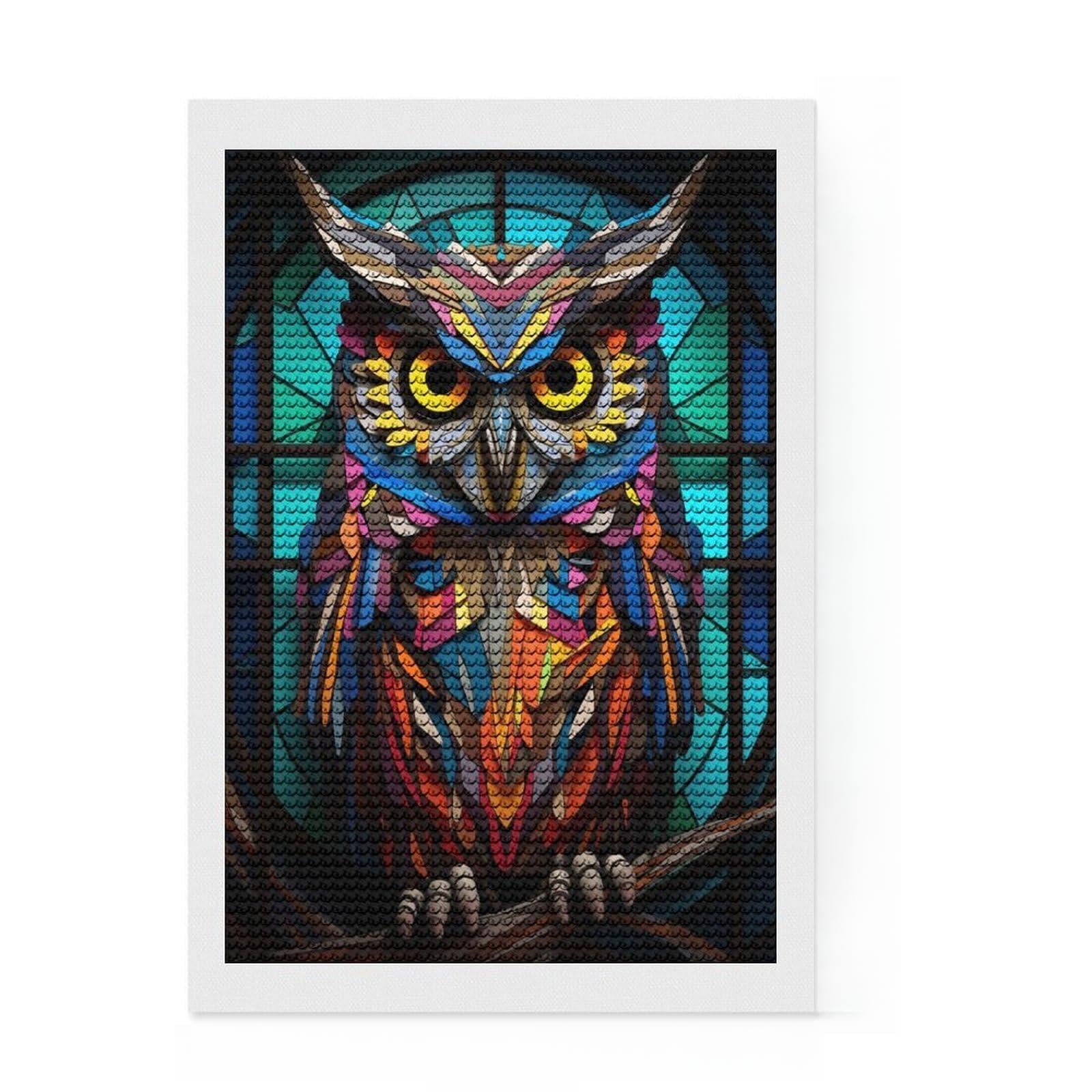 Junmoney Owls Vision Stained Glass Round Drill Diamond Painting 8"x12", with Tool Kit, Easy to Follow Symbols, Farmhouse Decor, for Craft Lovers