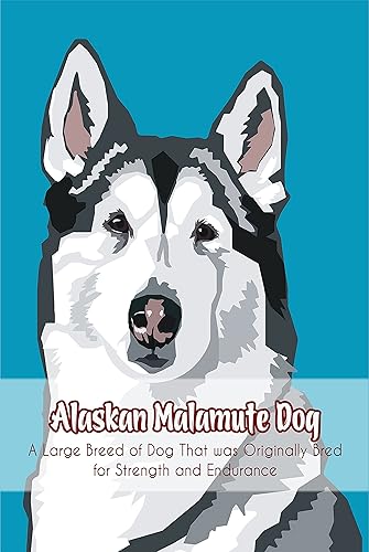 Alaskan Malamute Dog A Large Breed of Dog That was Originally Bred for Strength and Endurance