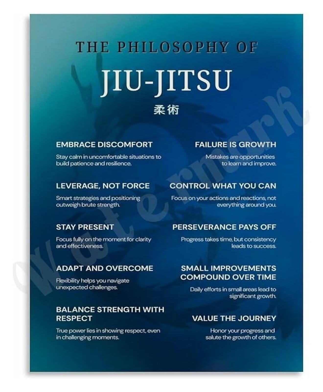 RNUMLIGH The Way of Jiu Jitsu Poster Philosophical Quotes for Martial Artists and Warriors Canvas Art(Framed,08x12inch(20x30cm))