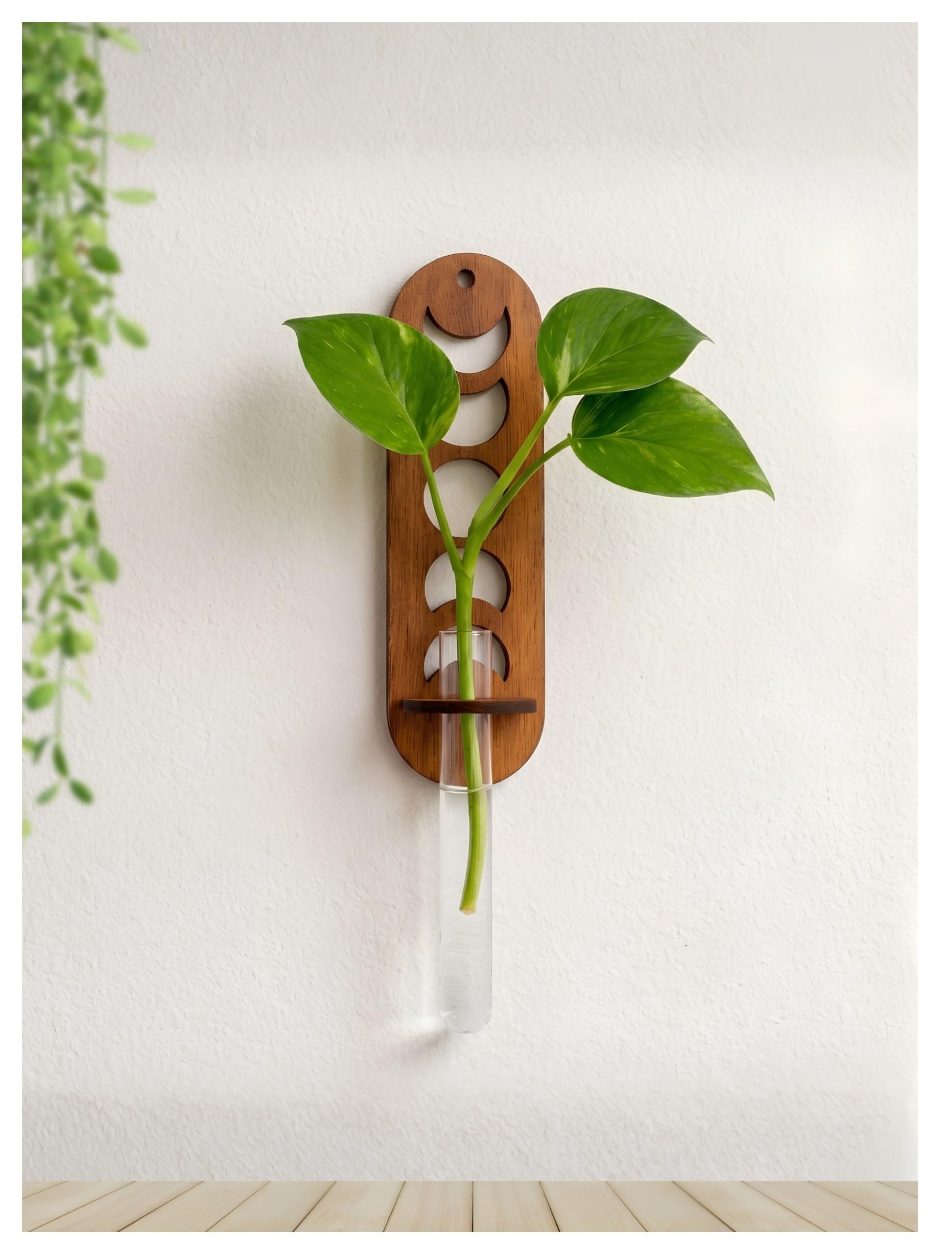 Bombay Greens Lunar Wall Hanging Planter with Wooden Holder & Rope | Test Tube Hanging Planter | Wooden Stand for Home Decor, Living Room, Balcony & Office Decoration-picture-16