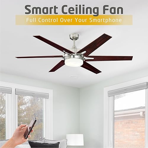 Miniatura 2 de Ciata Ventiladores de techo de 60 pulgadas con luces - Ventilador de techo inteligente para dormitoriosala de estar - Ventilador de techo avanzado