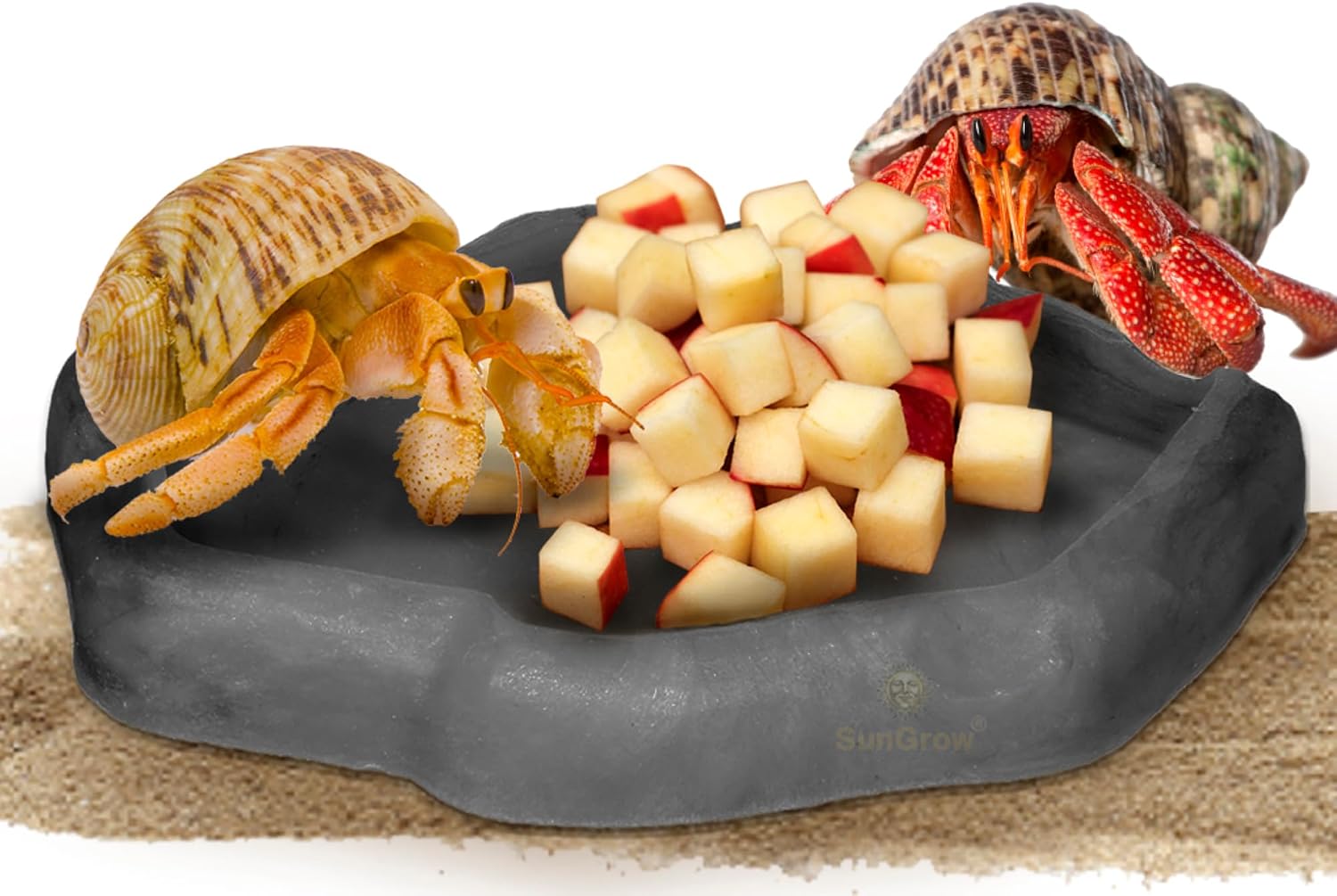 SunGrow Hermit Crab Water Bowl and Bathing Pool, 5 x 5.5 Inches, Reptile Food Bowl and Hermit Crab Supplies, Water Dish and Climber,…