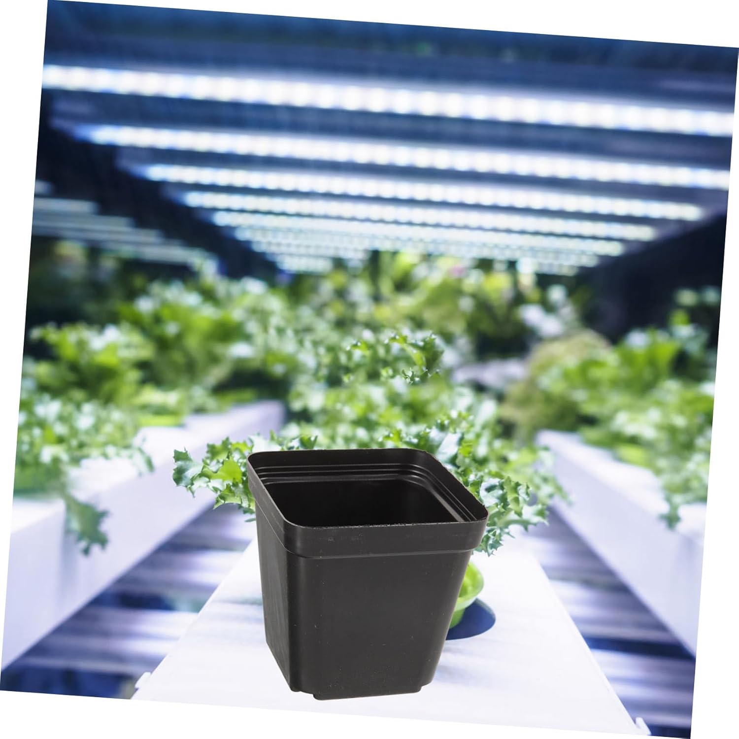 GANAZONO 120Pcs Black Square Plastic Nursery Pots with Drainage Holes Durable Seed Starter Planters for Indoor and Outdoor Gardening for Succulents and
