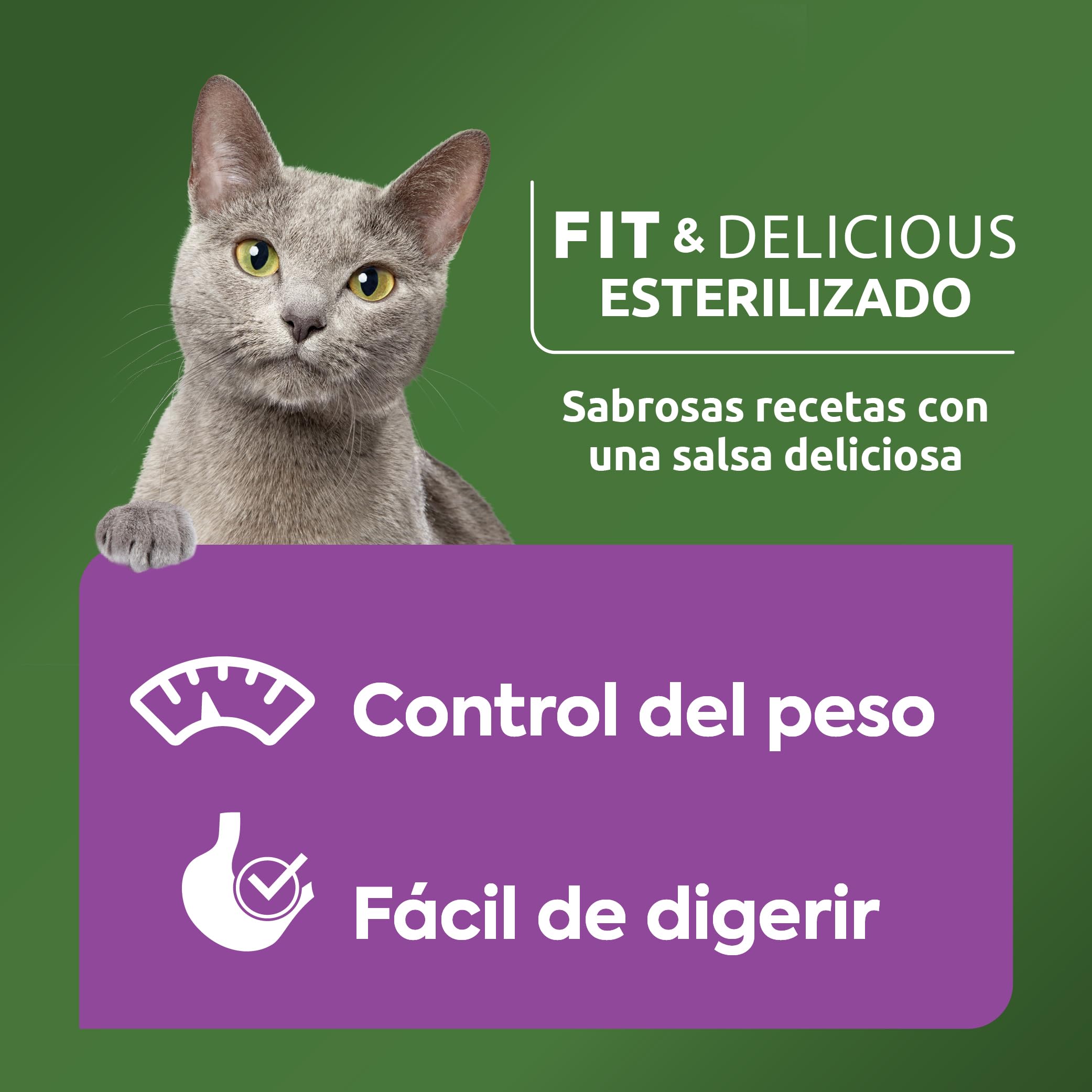 Ultima Comida Húmeda para Gatos con Variedad de Pescados - 12 x (4 x 85gr) - 4080g