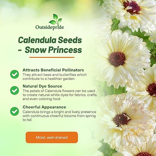 Miniatura 3 de Outsidepride Caléndula Snow Princess Pot - Semillas para plantas de jardín de caléndula - 100 semillas