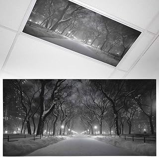 Winter Snowscape Fluorescent Light Covers, 4x2 Feet Magnetic Light Filters for Classroom Office, 1 Pc Night Snow Landscape Trees Natural Shades Covers for Ceiling Lights Drop Home Decor