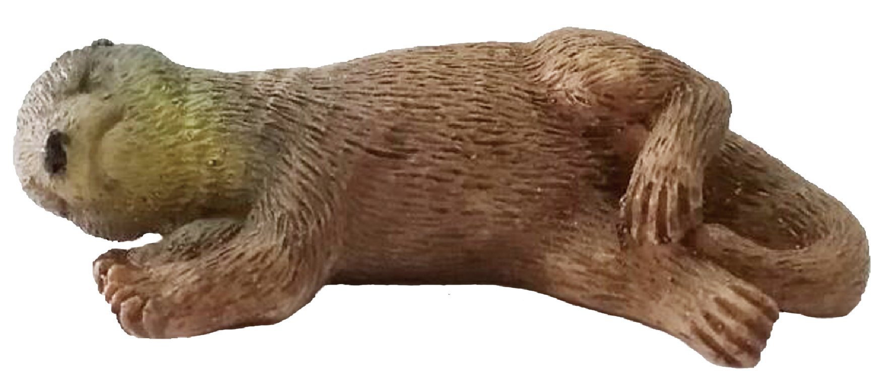 Amazon | ノブカンパニー 発掘名人カワウソランド 4種類セット