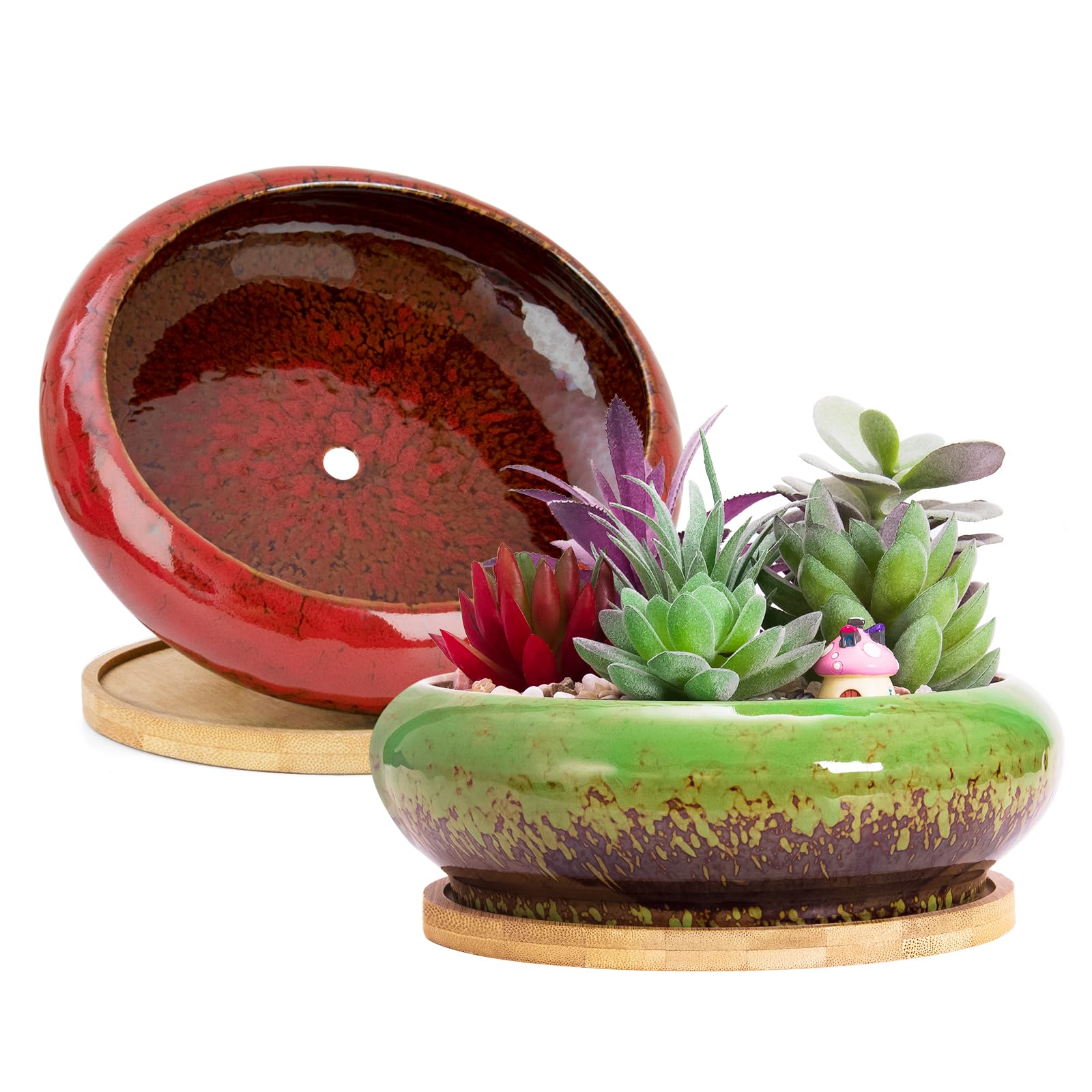 Amazon.co.jp: ARTKETTY 多肉植物鉢 - 大型多肉植物プランター 排水溝