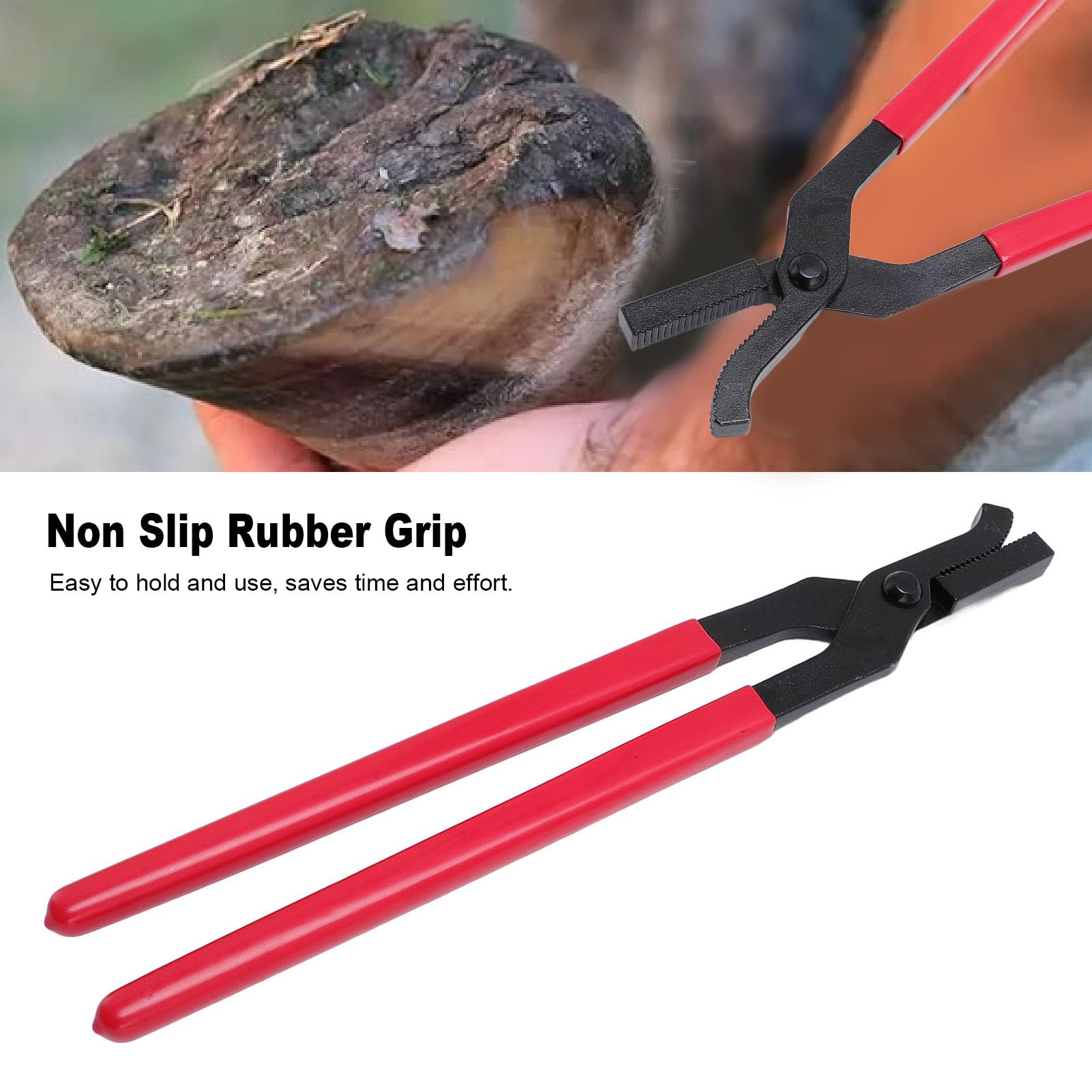 Kit d'outils de maréchal-ferrant professionnel pince à cheval pinces à